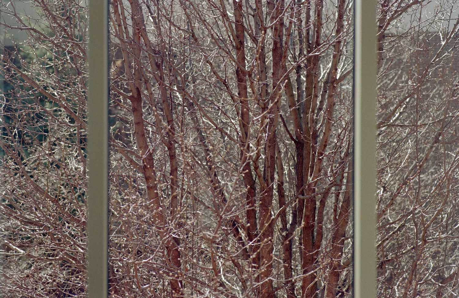 Film Photos of William Rainey Harper College, Palatine, Illinois