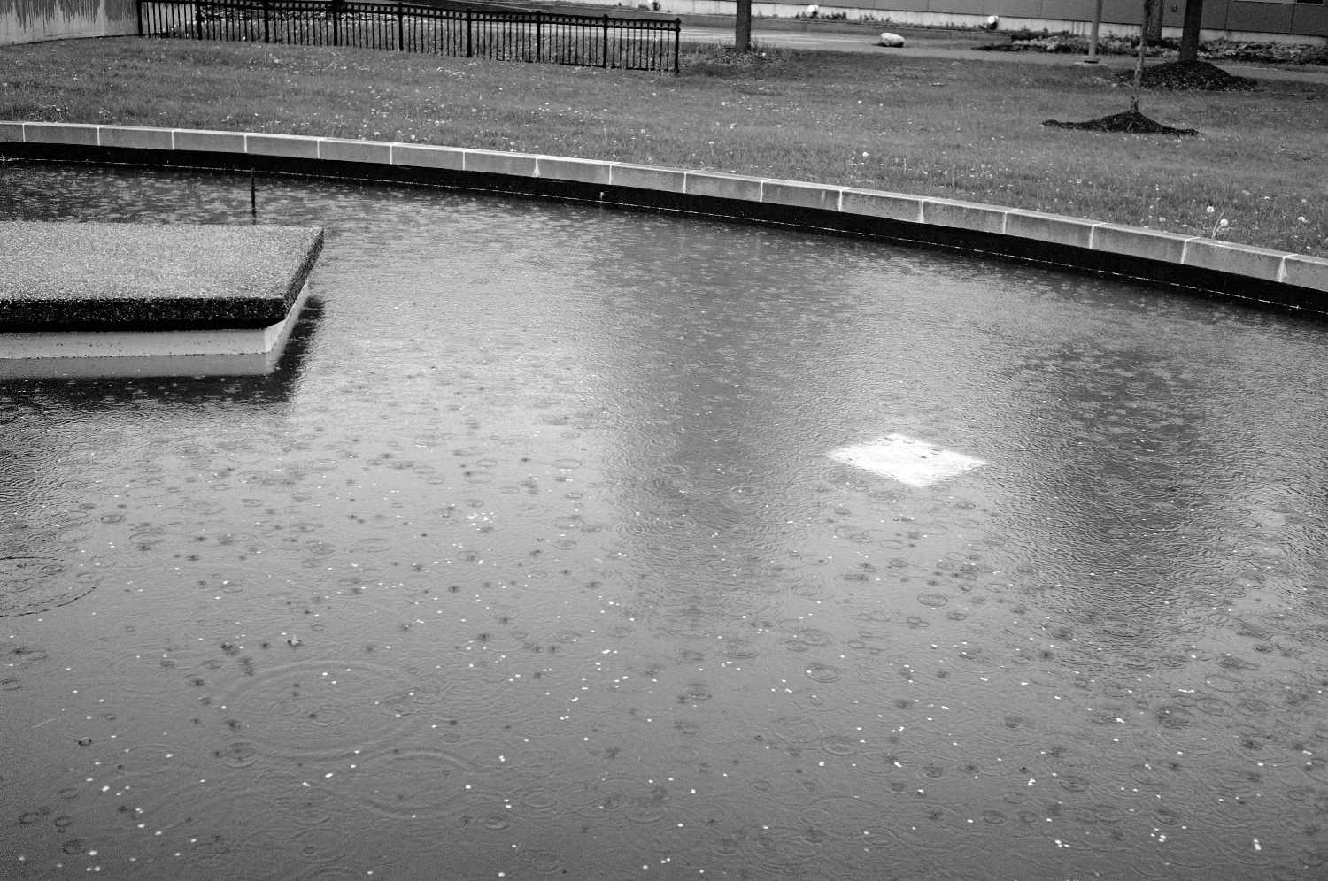 Film Photos of William Rainey Harper College, Palatine, Illinois