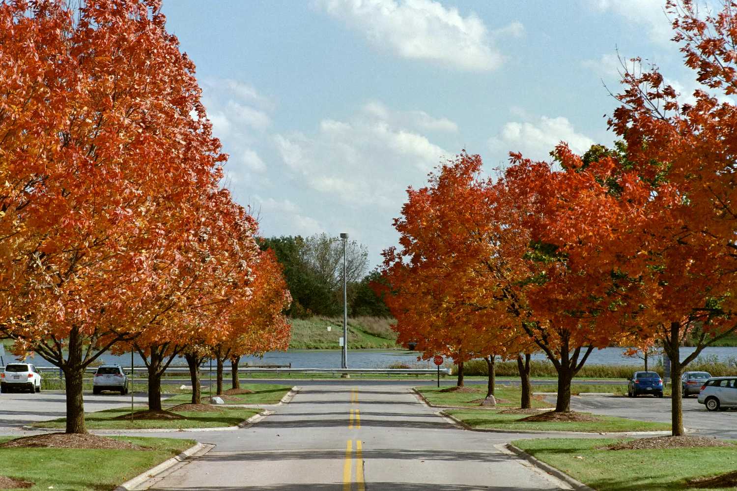 Film Photos of William Rainey Harper College, Palatine, Illinois