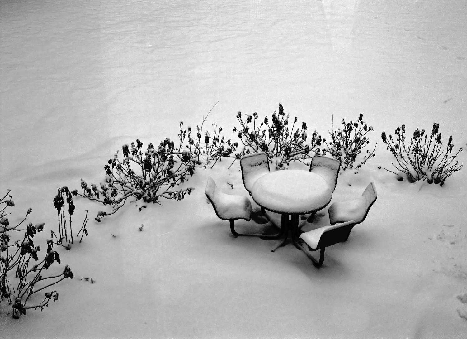 Film Photos of William Rainey Harper College, Palatine, Illinois
