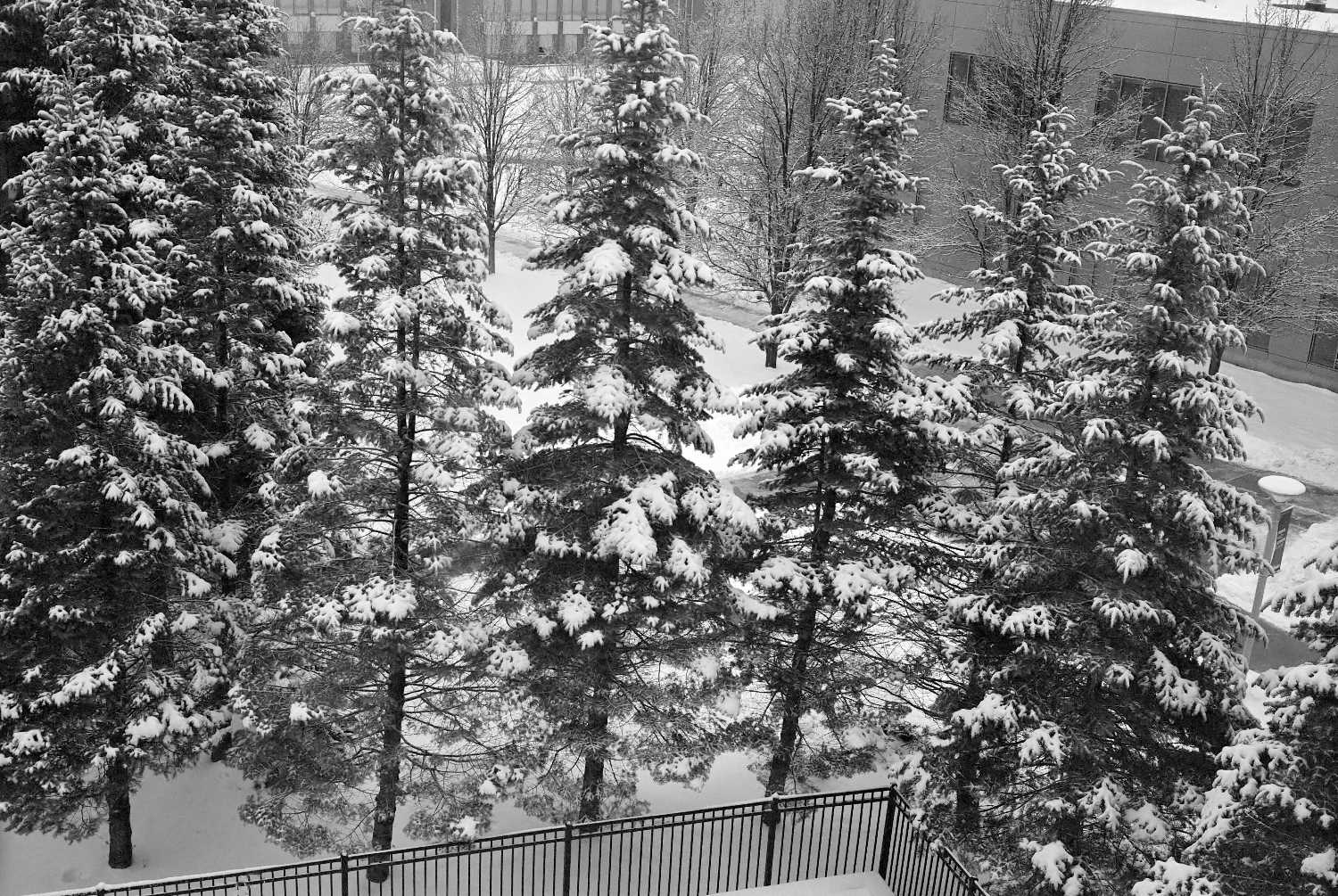 Film Photos of William Rainey Harper College, Palatine, Illinois