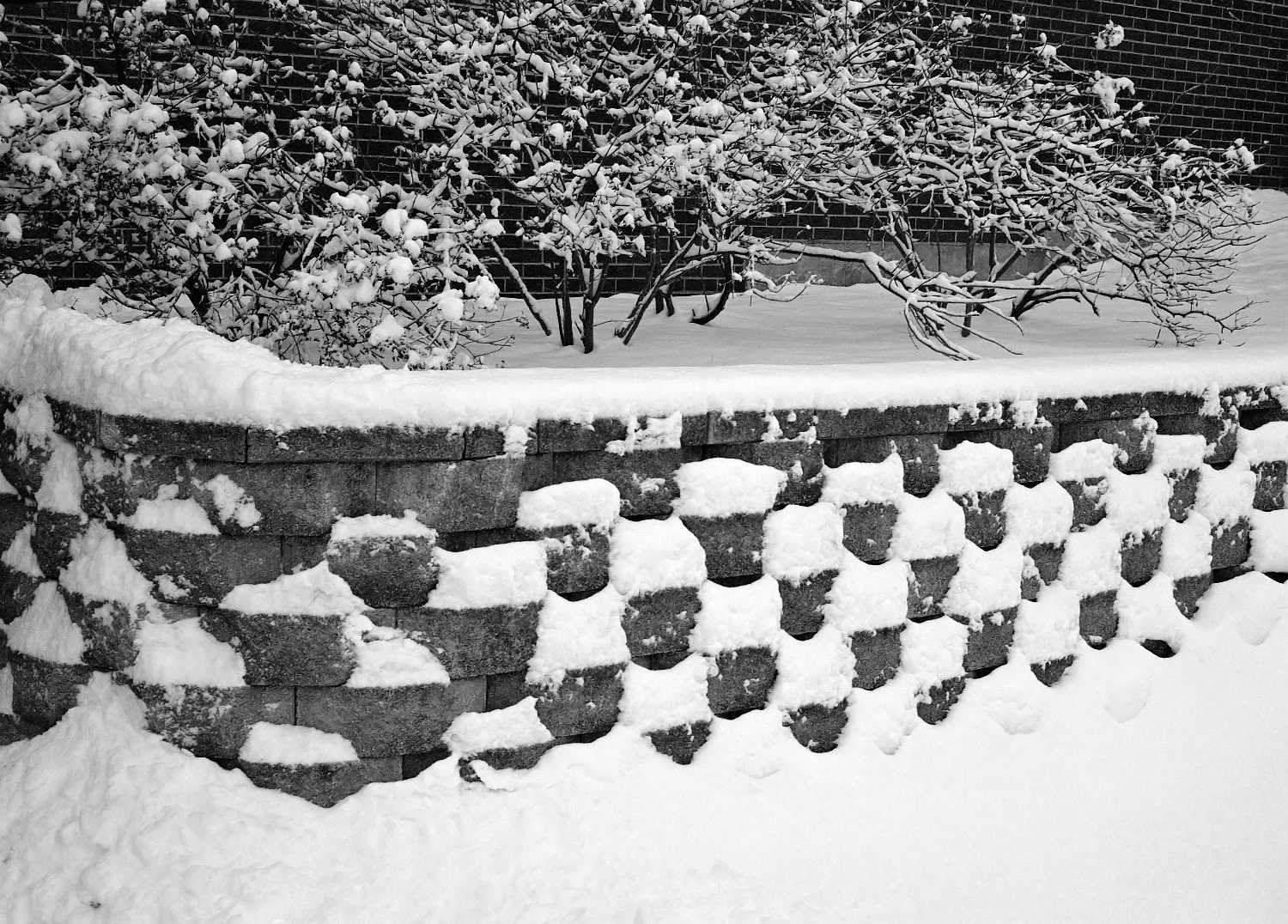 Film Photos of William Rainey Harper College, Palatine, Illinois