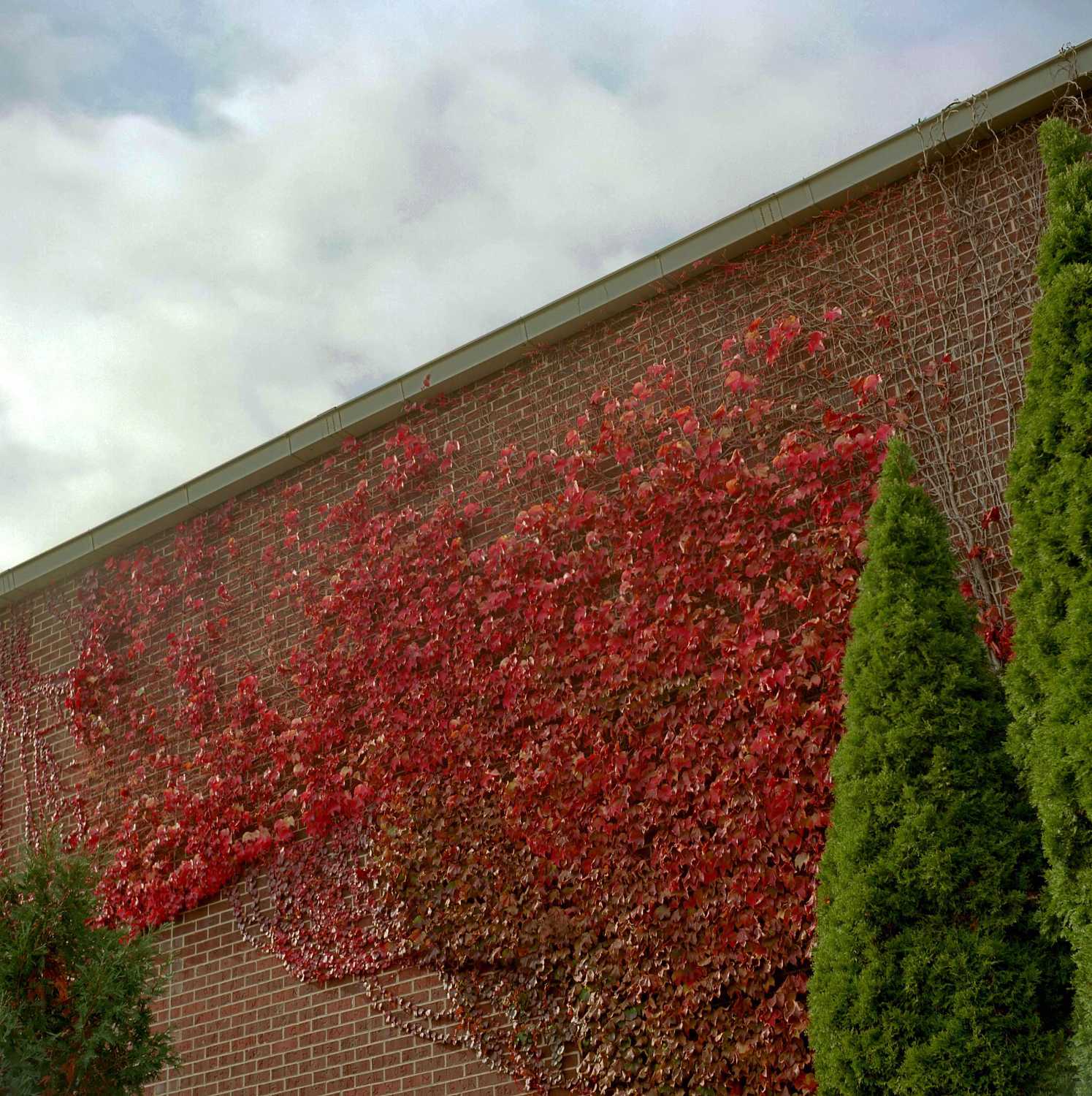 Film Photos of William Rainey Harper College, Palatine, Illinois