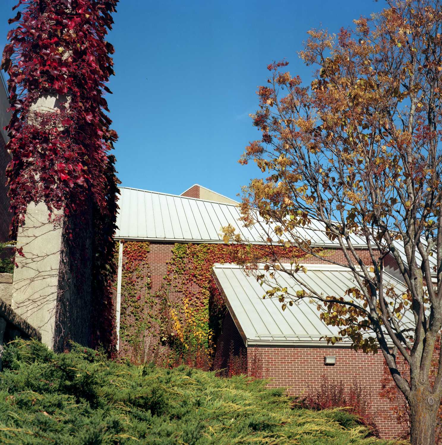 Film Photos of William Rainey Harper College, Palatine, Illinois