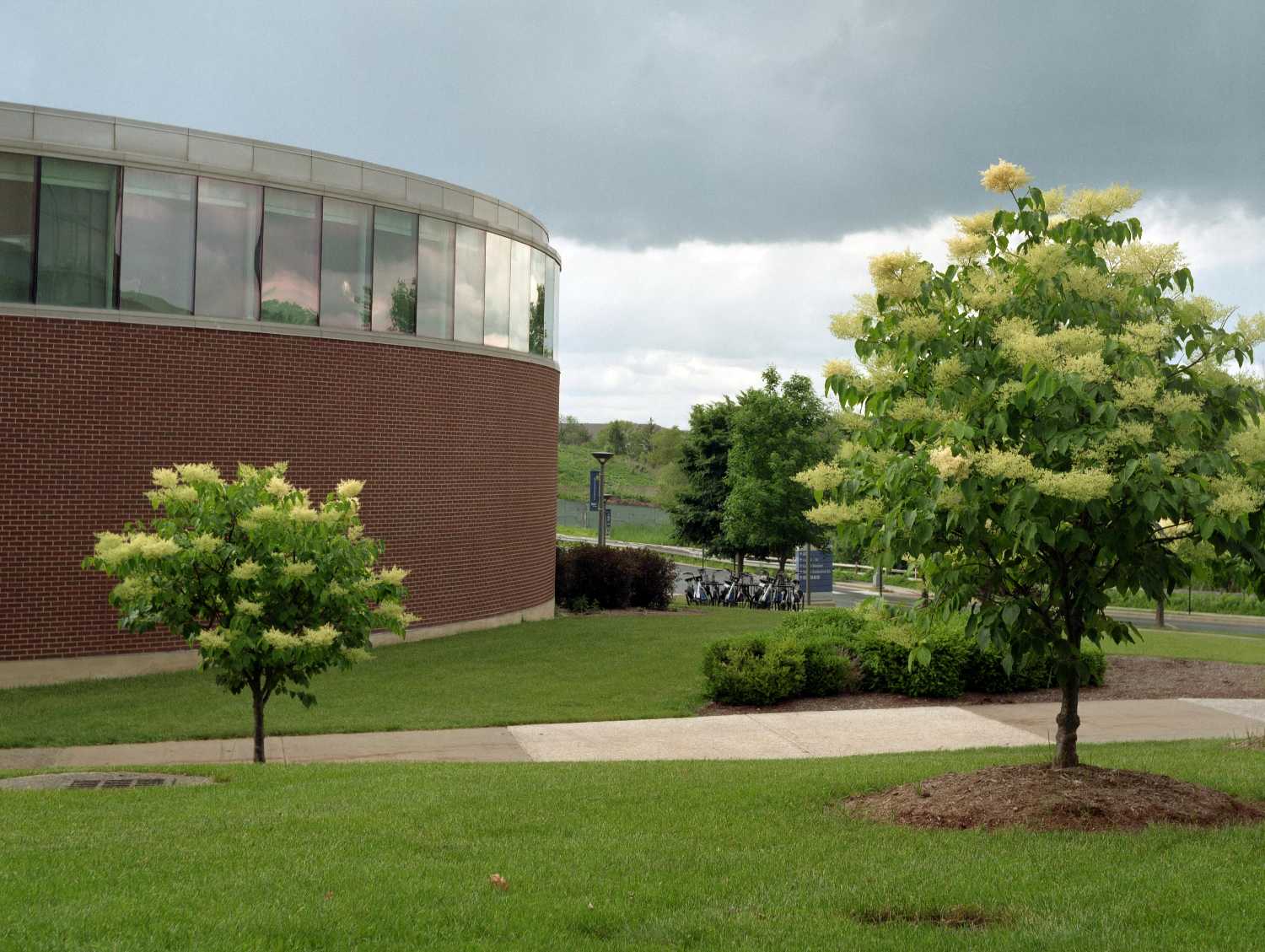 Film Photos of William Rainey Harper College, Palatine, Illinois