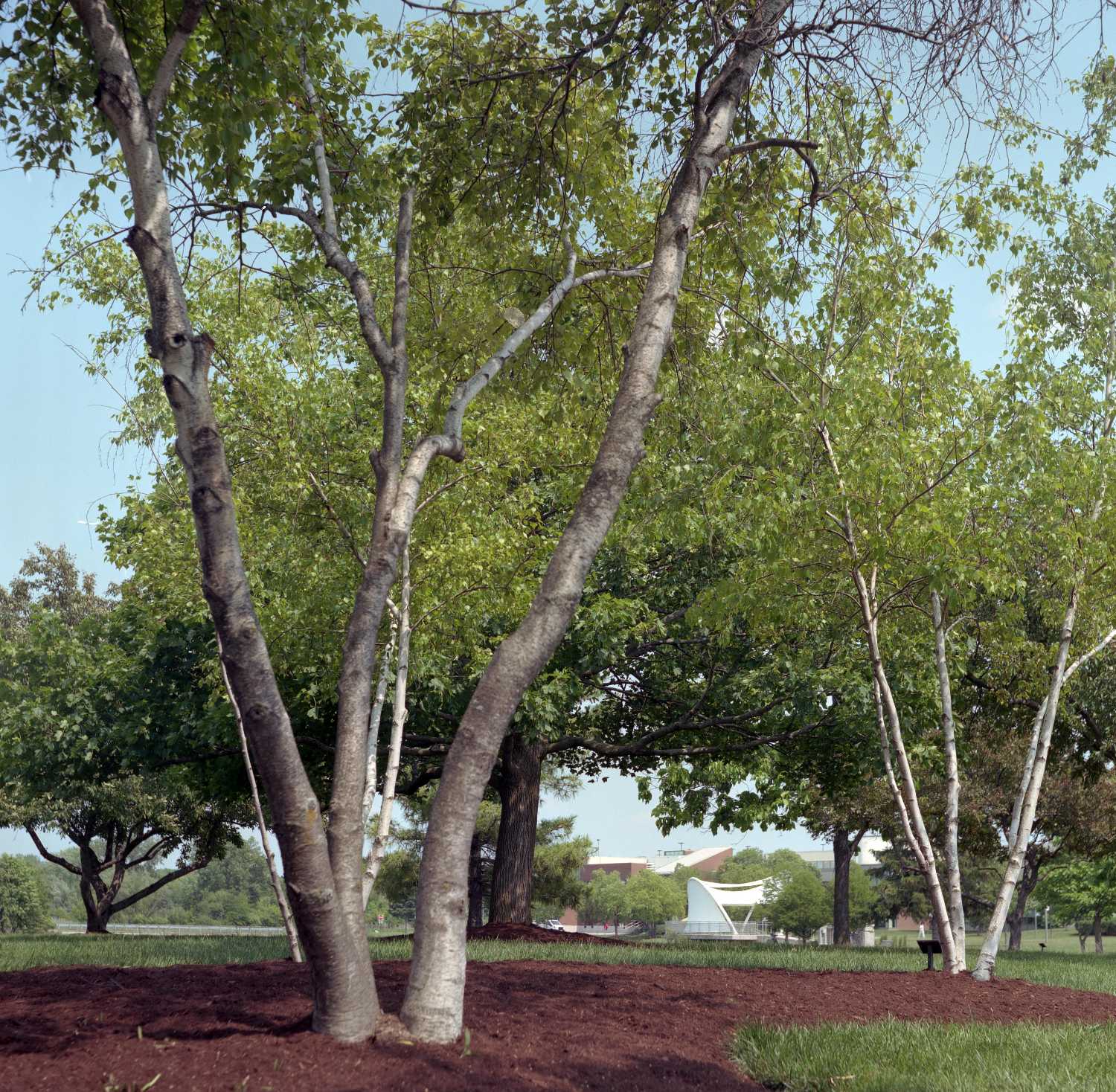 Film Photos of William Rainey Harper College, Palatine, Illinois