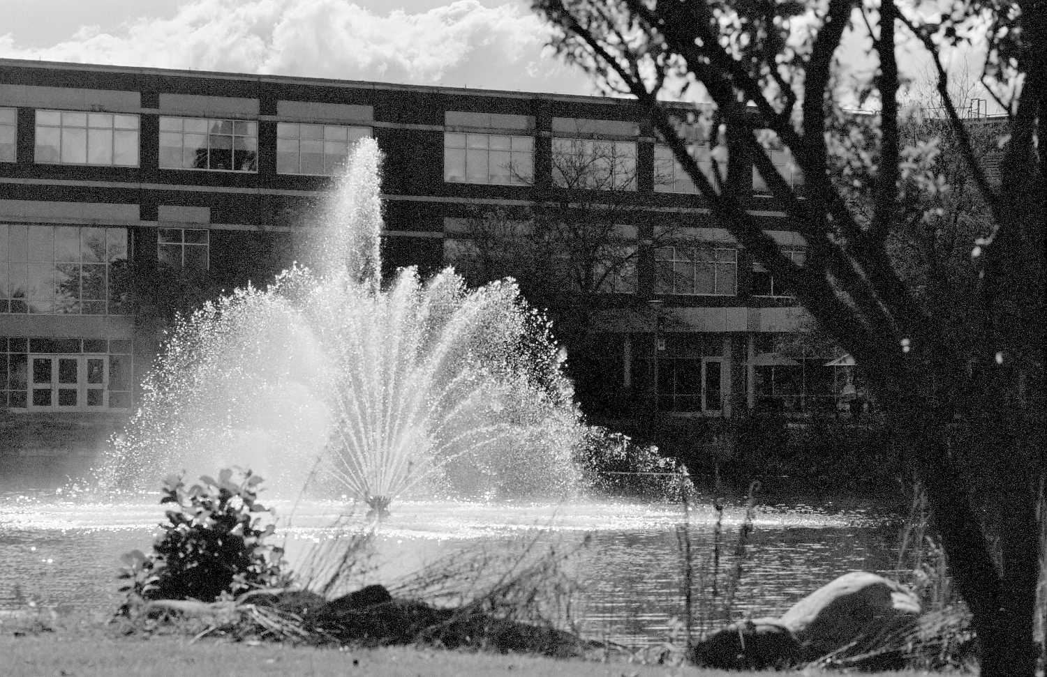 Film Photos of William Rainey Harper College, Palatine, Illinois