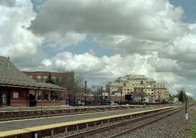 67489.jpg