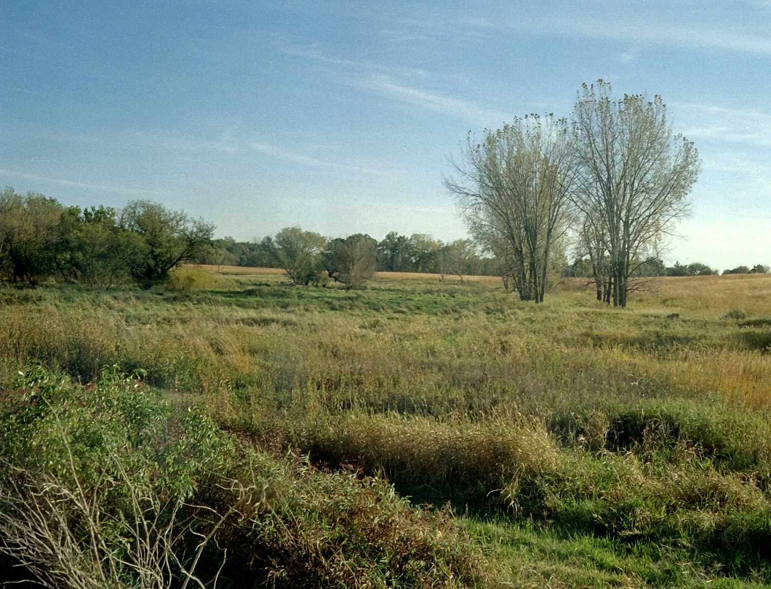 Film Photos of the Illinois Railway Museum