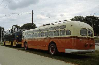 67598.jpg