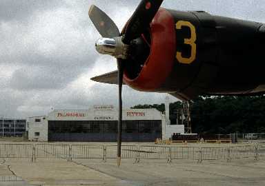 42924.jpg