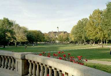 13455.jpg