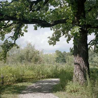 44120.jpg