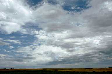 33560.jpg