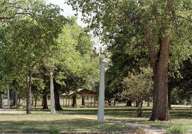 65302.jpg