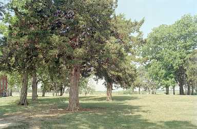 65384.jpg