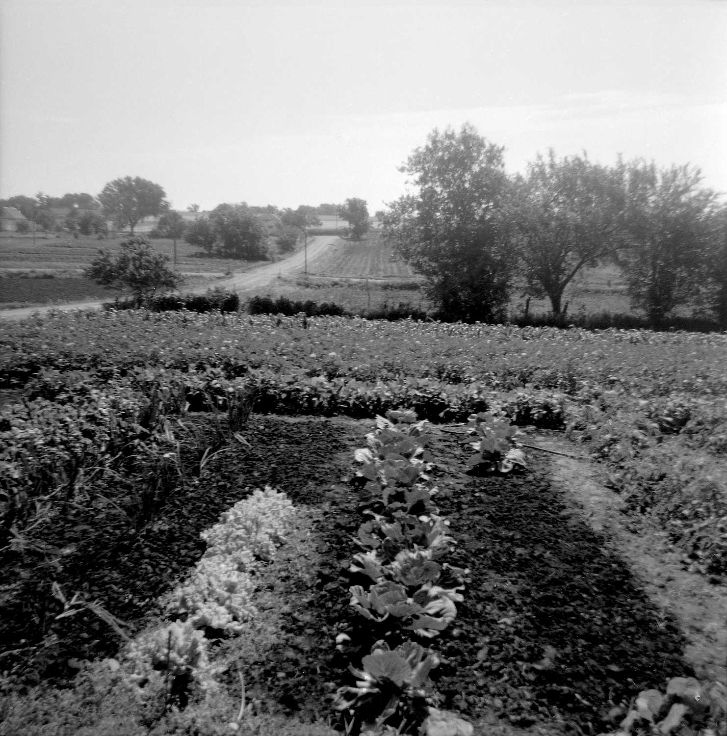 Photos of Clay Center, KS, 1900 to present