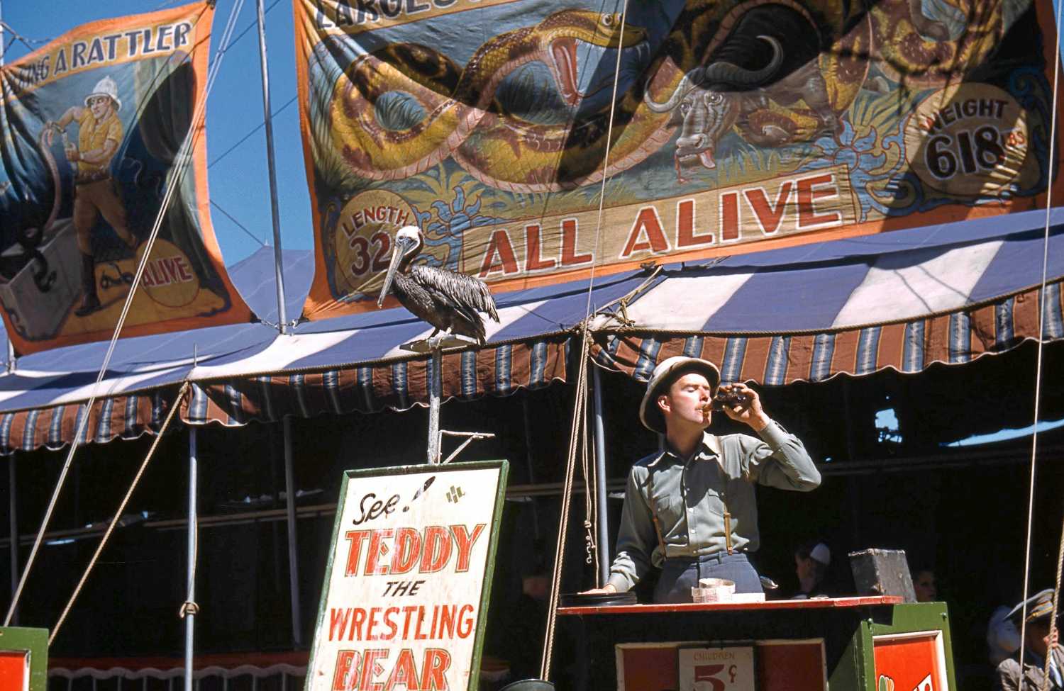 FSA-OWI Color Photos of America, 1939-1943