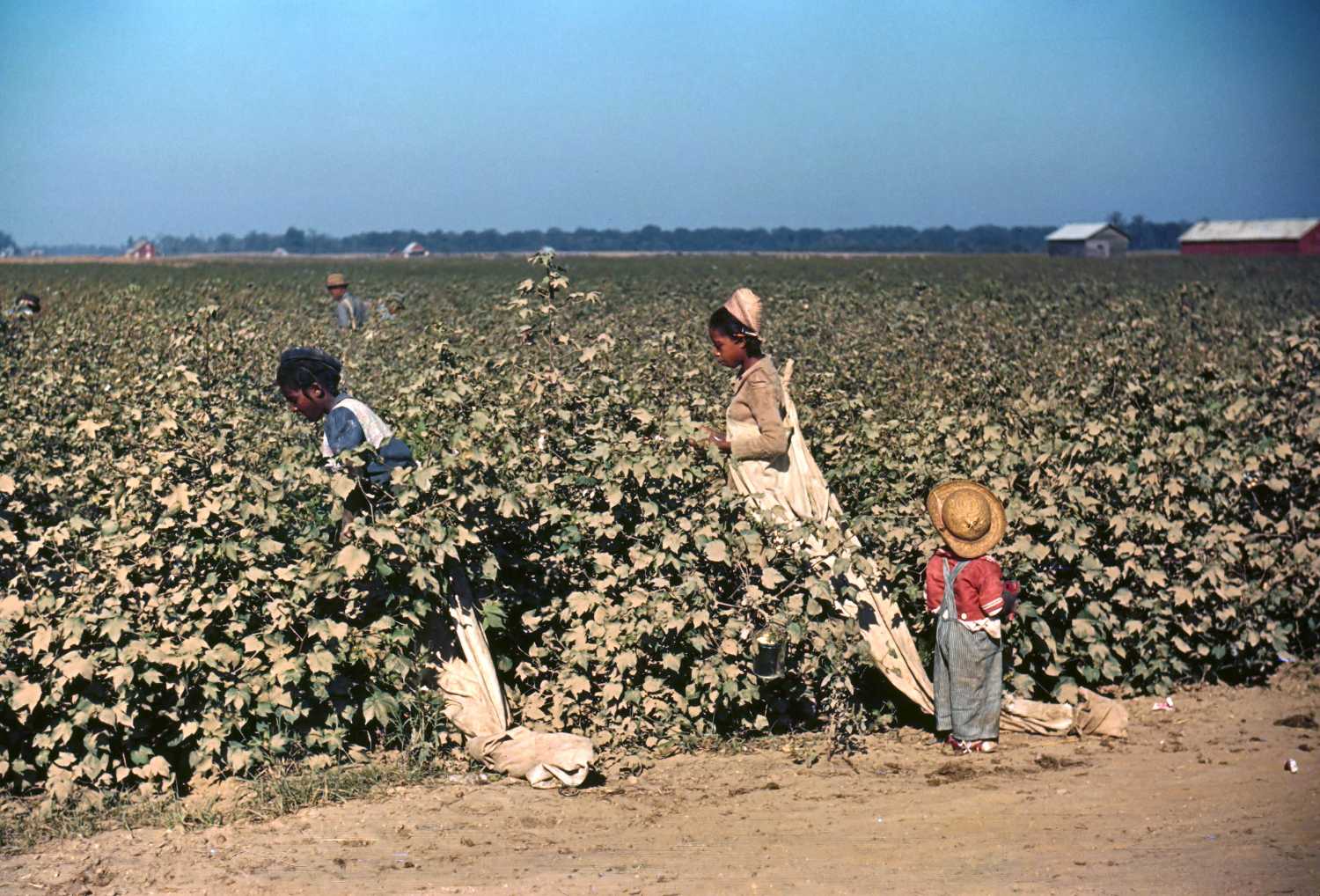 FSA-OWI Color Photos of America, 1939-1943
